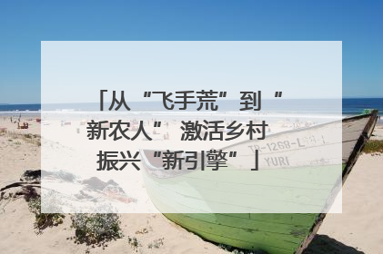 从“飞手荒”到“新农人” 激活乡村振兴“新引擎”