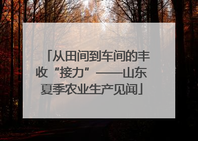 从田间到车间的丰收“接力”——山东夏季农业生产见闻
