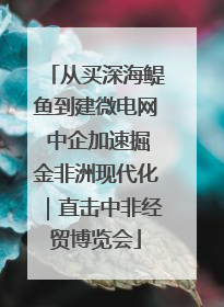 从买深海鳀鱼到建微电网 中企加速掘金非洲现代化｜直击中非经贸博览会