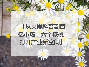 从央媒科普到百亿市场，六个核桃打开产业新空间