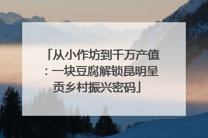 从小作坊到千万产值：一块豆腐解锁昆明呈贡乡村振兴密码