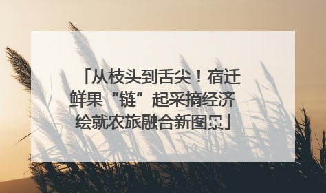 从枝头到舌尖！宿迁鲜果“链”起采摘经济绘就农旅融合新图景