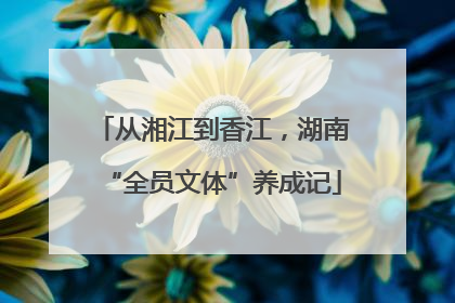 从湘江到香江，湖南“全员文体”养成记