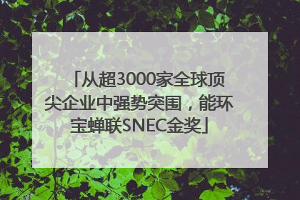 从超3000家全球顶尖企业中强势突围，能环宝蝉联SNEC金奖