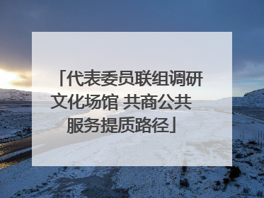 代表委员联组调研文化场馆 共商公共服务提质路径