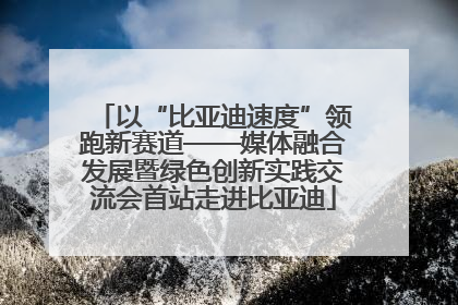 以“比亚迪速度”领跑新赛道——媒体融合发展暨绿色创新实践交流会首站走进比亚迪