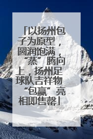 以扬州包子为原型，圆润饱满，“蒸”腾向上，扬州足球队吉祥物“包赢”亮相即售罄