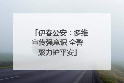 伊春公安：多维宣传强意识 全警聚力护平安