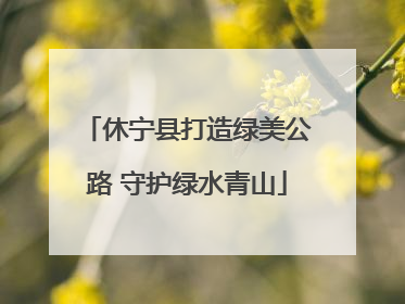 休宁县打造绿美公路 守护绿水青山