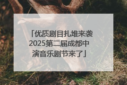 优质剧目扎堆来袭 2025第二届成都中演音乐剧节来了