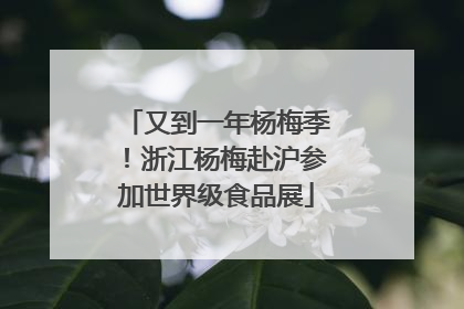 又到一年杨梅季！浙江杨梅赴沪参加世界级食品展