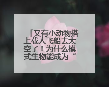 又有小动物搭上载人飞船去太空了！为什么模式生物能成为“探索代表”？