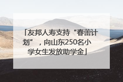 友邦人寿支持“春蕾计划”，向山东250名小学女生发放助学金