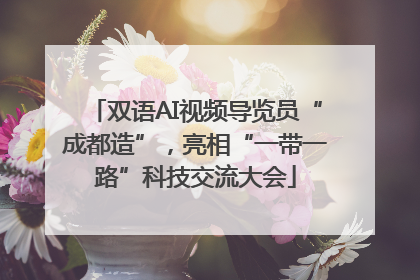 双语AI视频导览员“成都造”，亮相“一带一路”科技交流大会