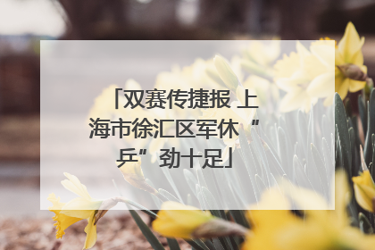 双赛传捷报 上海市徐汇区军休“乒”劲十足