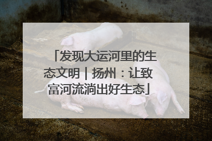 发现大运河里的生态文明｜扬州：让致富河流淌出好生态