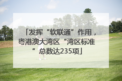 发挥“软联通”作用，粤港澳大湾区“湾区标准”总数达235项