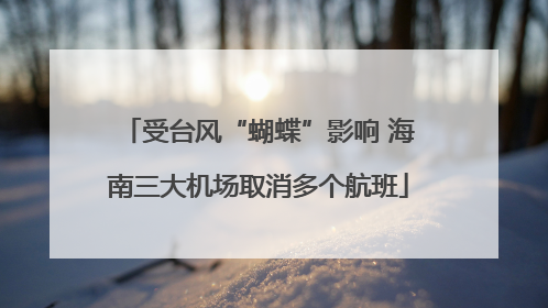 受台风“蝴蝶”影响 海南三大机场取消多个航班