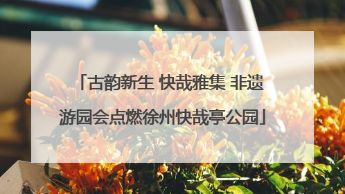 古韵新生 快哉雅集 非遗游园会点燃徐州快哉亭公园