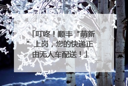 叮咚！顺丰“萌新”上岗，您的快递正由无人车配送！