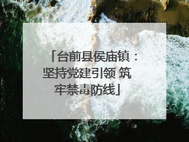 台前县侯庙镇：坚持党建引领 筑牢禁毒防线