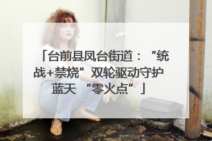 台前县凤台街道：“统战+禁烧”双轮驱动守护蓝天 “零火点”