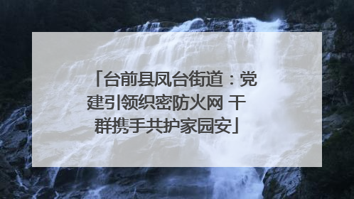 台前县凤台街道：党建引领织密防火网 干群携手共护家园安