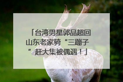 台湾男星郭品超回山东老家骑“三蹦子”赶大集被偶遇！