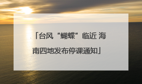 台风“蝴蝶”临近 海南四地发布停课通知