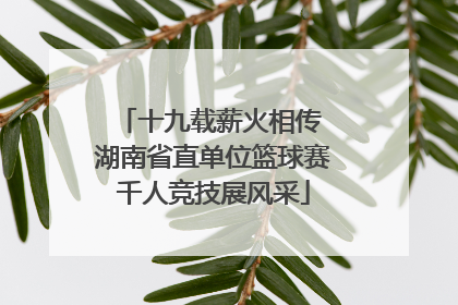 十九载薪火相传 湖南省直单位篮球赛千人竞技展风采