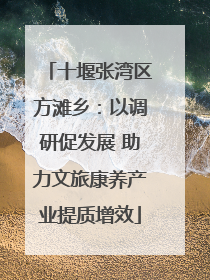 十堰张湾区方滩乡：以调研促发展 助力文旅康养产业提质增效