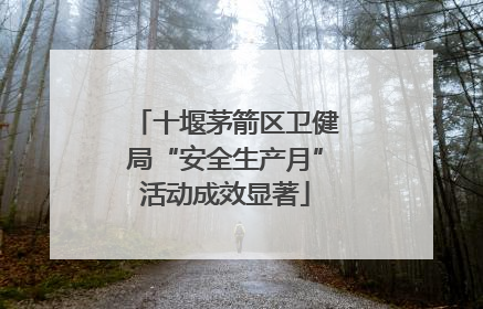 十堰茅箭区卫健局“安全生产月”活动成效显著