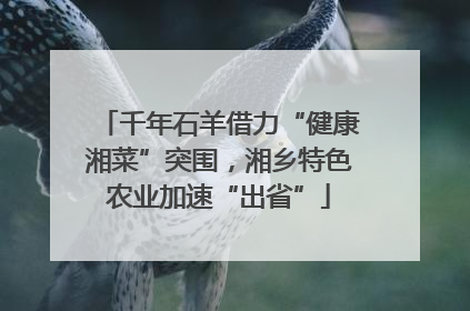 千年石羊借力“健康湘菜”突围，湘乡特色农业加速“出省”