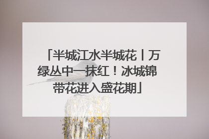 半城江水半城花丨万绿丛中一抹红！冰城锦带花进入盛花期