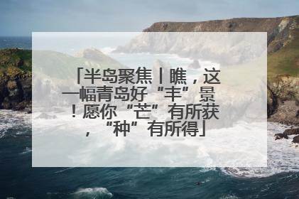 半岛聚焦丨瞧，这一幅青岛好“丰”景！愿你“芒”有所获，“种”有所得