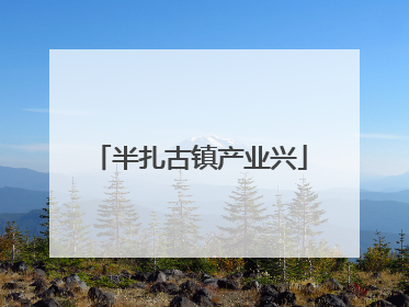 半扎古镇产业兴