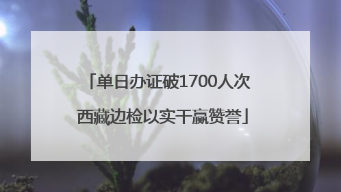 单日办证破1700人次 西藏边检以实干赢赞誉