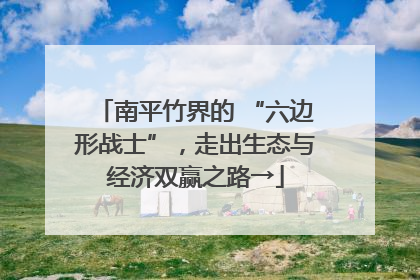 南平竹界的 “六边形战士”，走出生态与经济双赢之路→