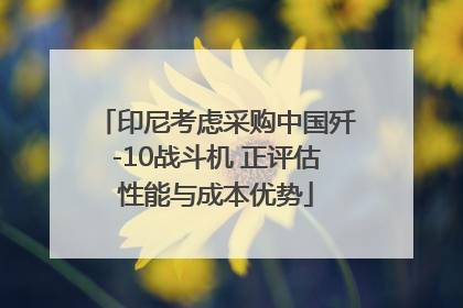 印尼考虑采购中国歼-10战斗机 正评估性能与成本优势