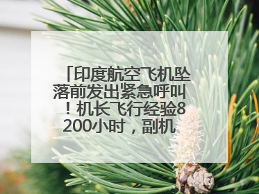 印度航空飞机坠落前发出紧急呼叫！机长飞行经验8200小时，副机长1100小时