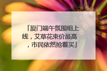 厦门端午氛围组上线，艾草花束价虽高，市民依然抢着买