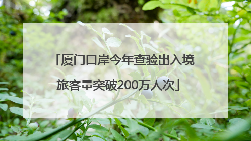 厦门口岸今年查验出入境旅客量突破200万人次