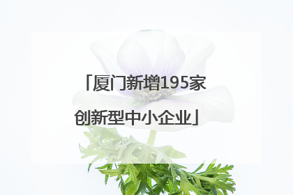 厦门新增195家创新型中小企业