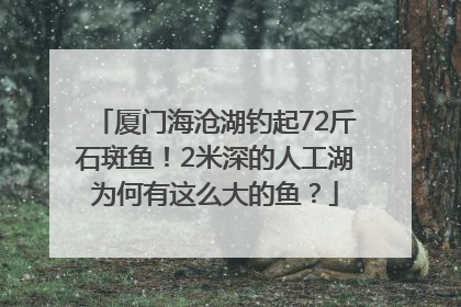 厦门海沧湖钓起72斤石斑鱼！2米深的人工湖为何有这么大的鱼？