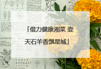 借力健康湘菜 壶天石羊香飘星城