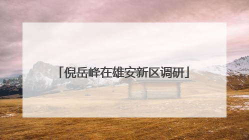倪岳峰在雄安新区调研