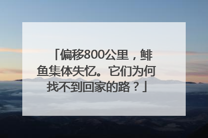 偏移800公里，鲱鱼集体失忆。它们为何找不到回家的路？