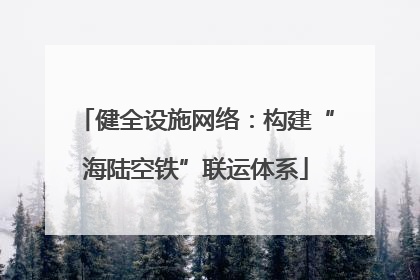 健全设施网络：构建“海陆空铁”联运体系