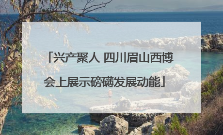 兴产聚人 四川眉山西博会上展示磅礴发展动能
