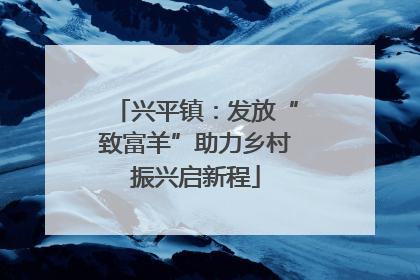 兴平镇：发放“致富羊”助力乡村振兴启新程